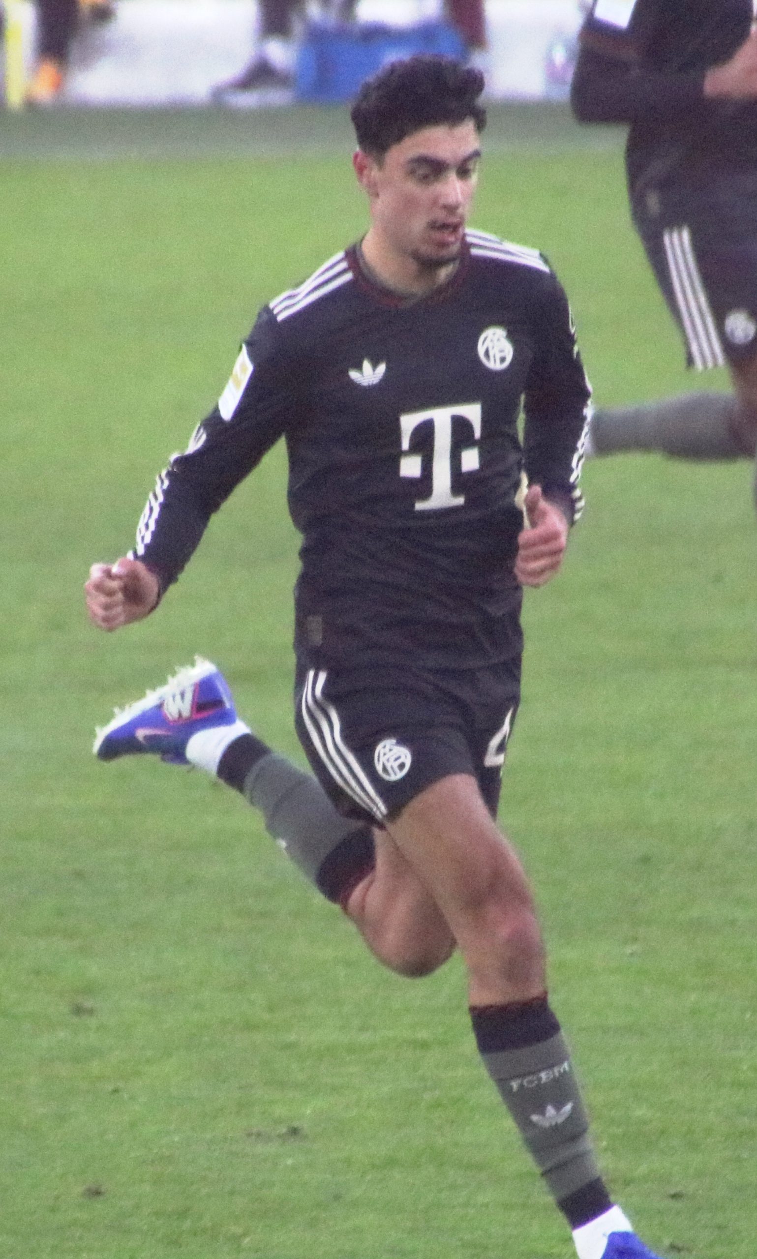 Aleksandar Pavlović