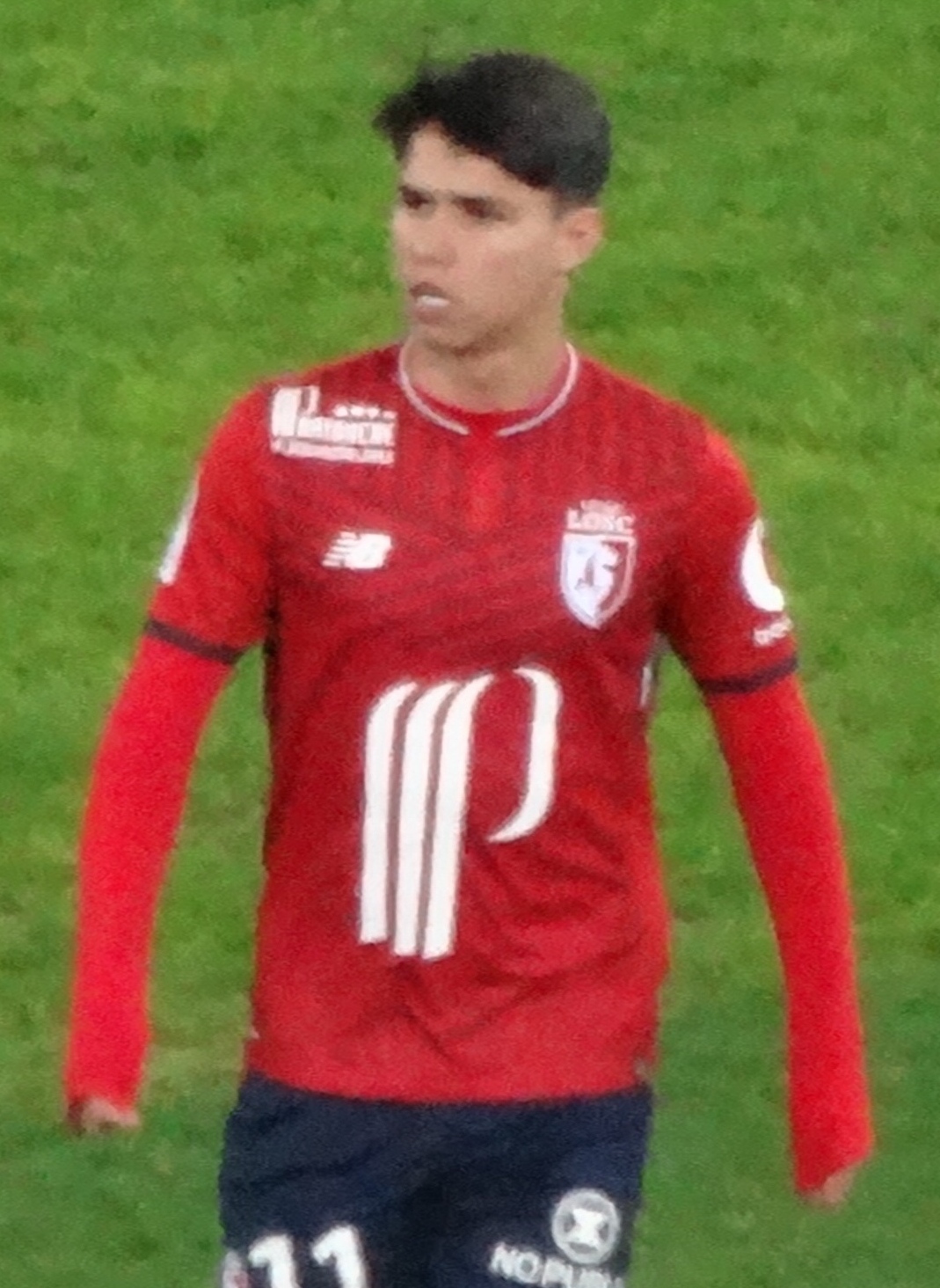 Luiz Araujo