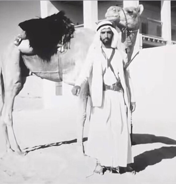 Mohamed Abbas al Baloushi